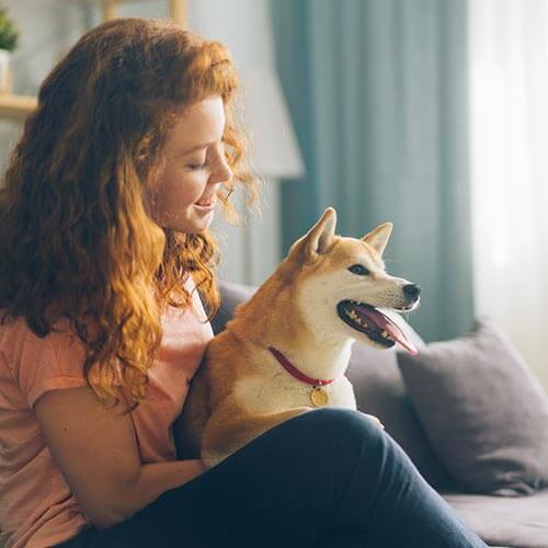 Child sitting with a dog.